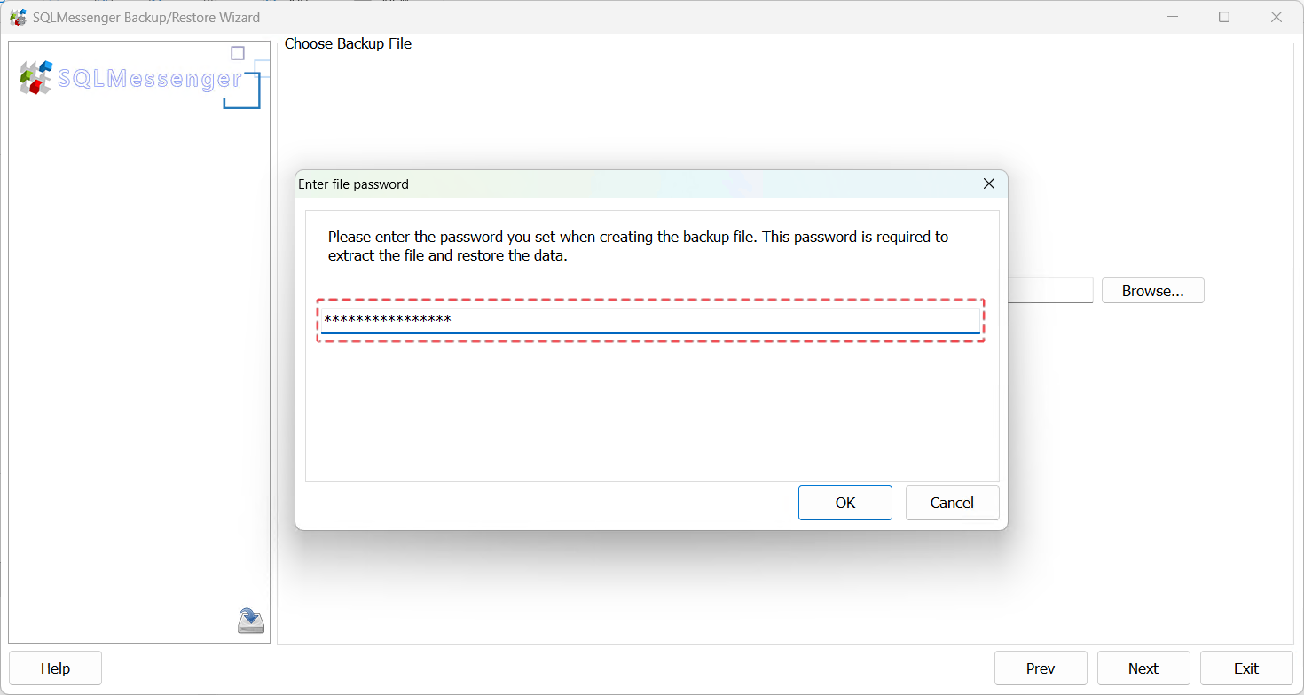 Enter the backup file password