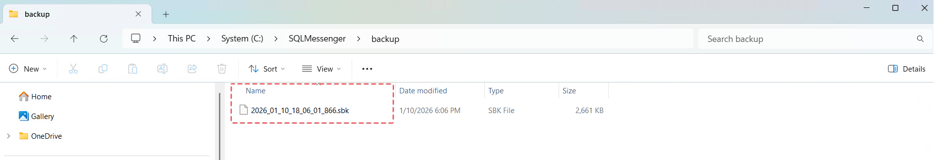 Backup file generated by the utility